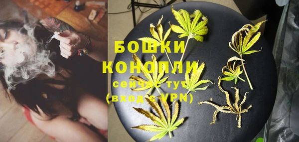 бошки Нея