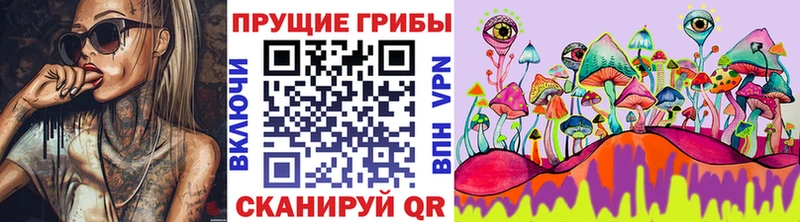 Галлюциногенные грибы Cubensis  Купить  Пермь 